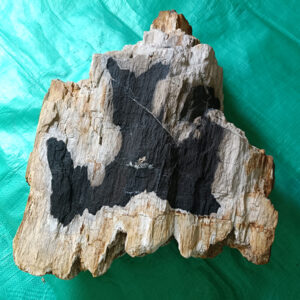 Rare Stone with Chinese Characters 中文字奇石