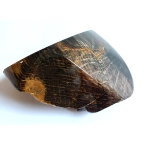 Petrified Wood (002)木化石
